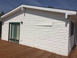 Best Custom Trim and Detailing for Siding  in Rushville, NE